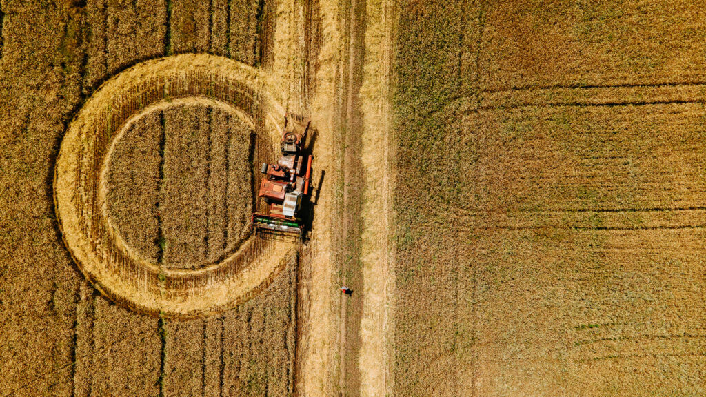 Aerial view of a red combine harvester making a circle on a golden field.
