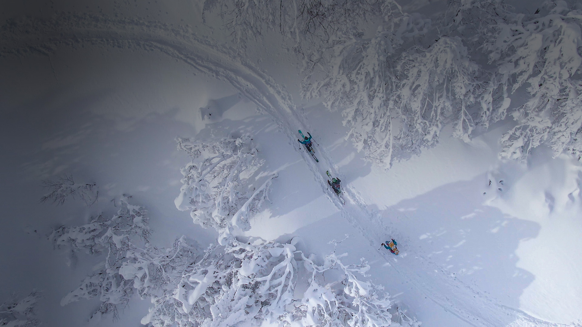 Aerial view of three people skiing in a snowy forest.