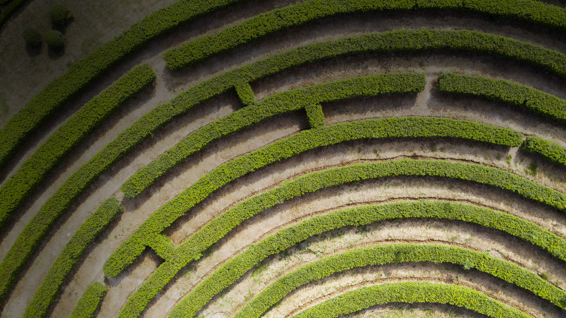 Aerial view of a green maze garden.